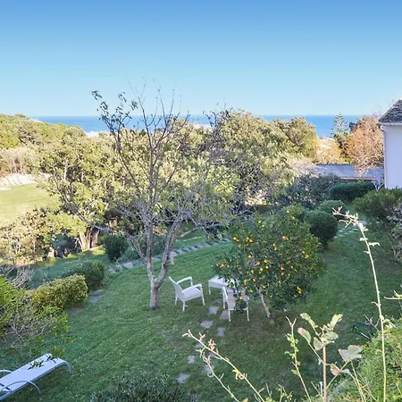 In With Wifi Erbalunga (Corsica)