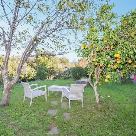 In With Wifi Erbalunga (Corsica)