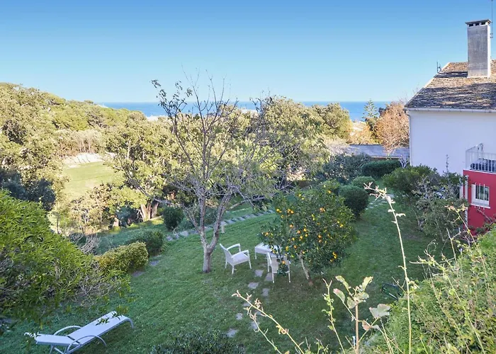 In With Wifi Erbalunga (Corsica)