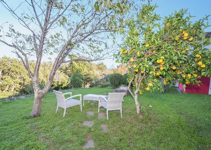 In With Wifi Erbalunga (Corsica)